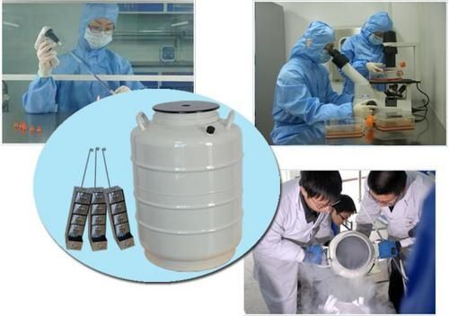 使用液氮罐凍精步驟 使用液氮罐凍精步驟